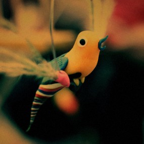 3.4曲江活动的咋片