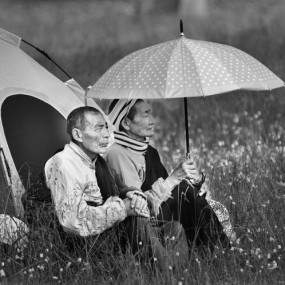 在那片神奇的土地上