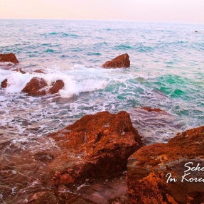 LEFT【一人游逛韩国济州岛】