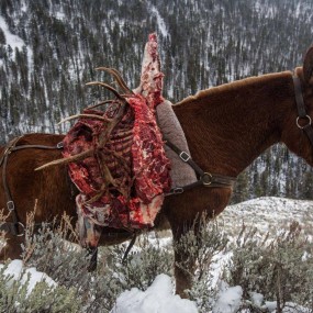 美国国家地理选出52张年度照片，每一张都震撼人心