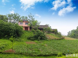 高山草甸风光美