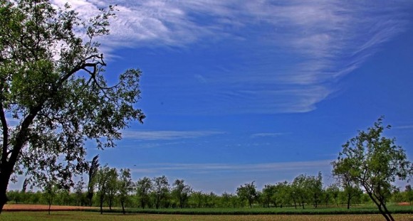 雨过天晴---美丽的沙苑风光吸引着游人