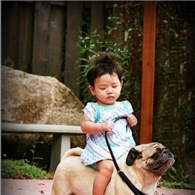 她在骑狗？传说中的高头大狗？