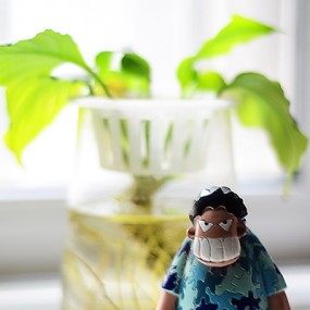 明媚阳光，快乐开始。