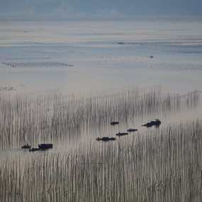 海滩--------跳动的音符