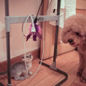 波妞是个粘人的女孩