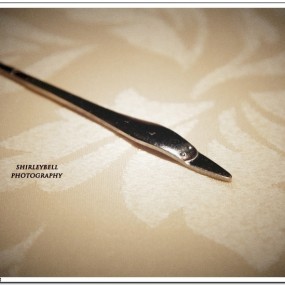 结婚纪念日的浪漫晚餐——西堤牛排