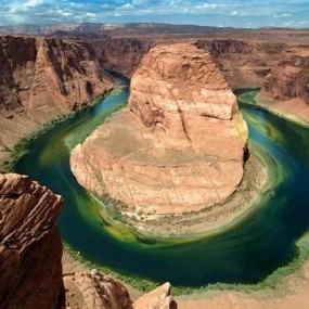 镜头下美丽的世界