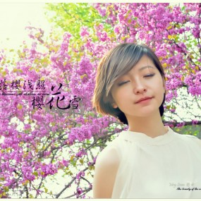 落樱浅照樱花雪———