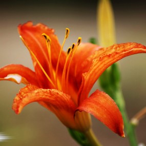 花蕊象女孩做的美甲，很惊艳