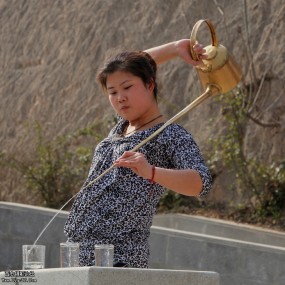 春天的味道--青龙寺团拍活动