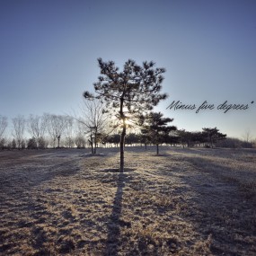 零下五度的公园