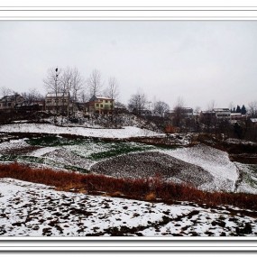 情在深处，爱在鲍旗寨