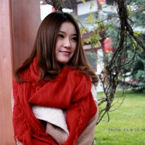 1204活动，大阵仗。