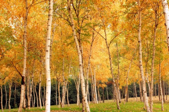 城市运动公园休闲乱拍