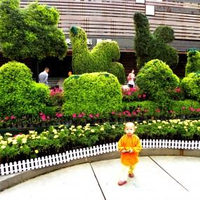 小和尚吗？非也  ——