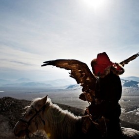 哈萨克斯坦的猎鹰人