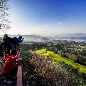 油菜花开（一）南郑汉山