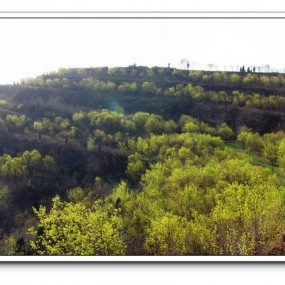 西府黄土地的春天