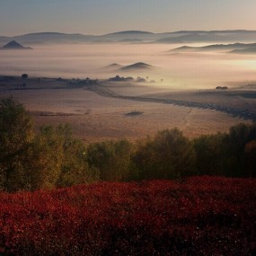 国庆坝上摄影—最美坝上秋