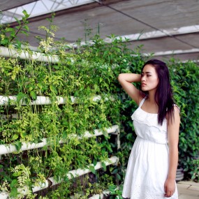 午后花房的少女————