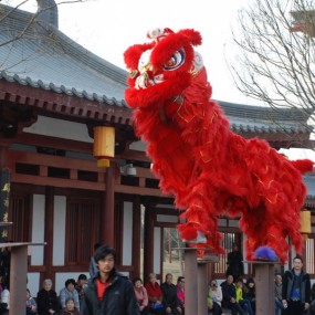 雄狮劲舞闹新春(一)