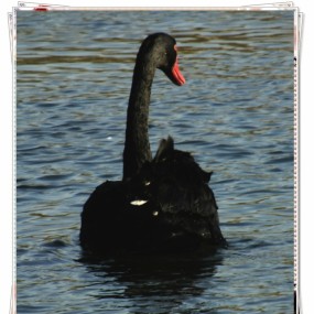 周末那个冷啊    手指头都不会按快门了