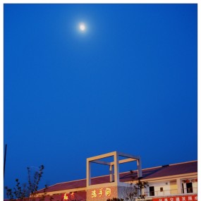 【油菜花儿黄】---汉中油菜花拍摄活动乱拍