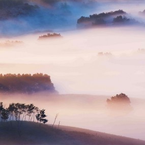 俯看雾海仙境 游览坝上草原