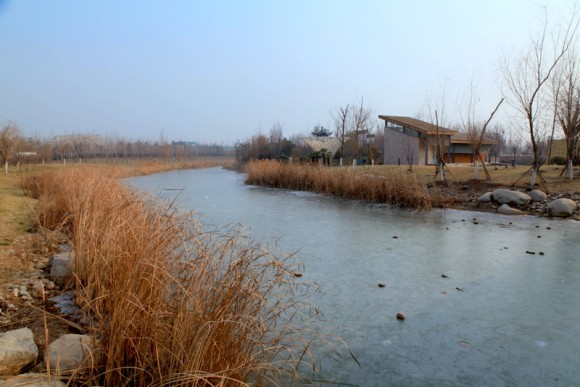 老袁习作：‘冬日世园’（—）