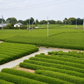 【日本新农村】-行摄日本之四