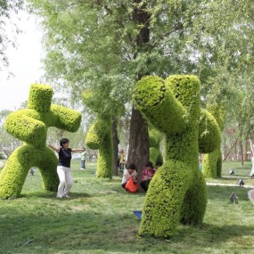 世园活动参赛作品