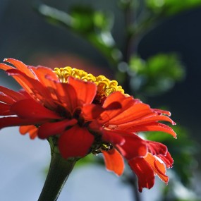 十样锦（2013.10.13）