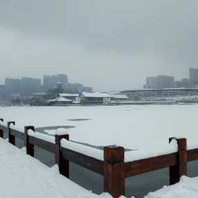雪中曲江池