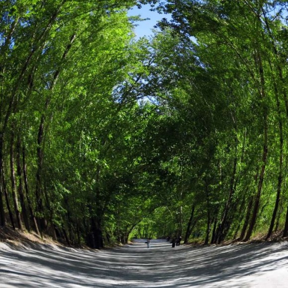 鱼眼镜头的魅力