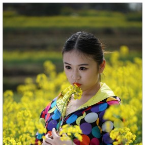汉中油菜花之模特荣蕾