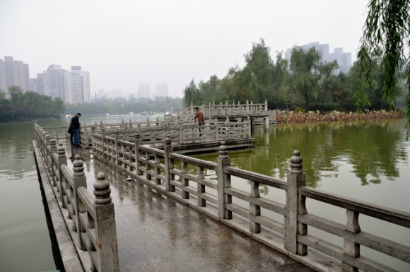 秋天雨后的丰庆公园