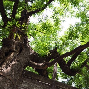 还是书院门，唉，我也就这点儿出息了……