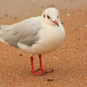 一组“美妞”写真