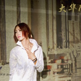 大华1935灯影活动