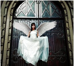 转载哥们左岸的作品