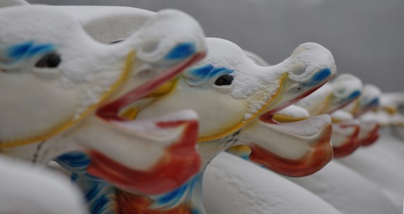 ——公园的雪景——