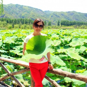 炎夏荷塘最美时