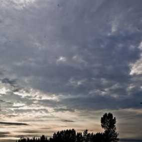 白鹿原（八）高亢激越