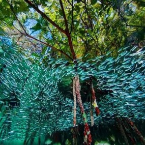 摄影灵感，国家地理2016年最佳摄影作品欣赏