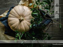 南瓜马车的午夜 换上童话的玻璃鞋