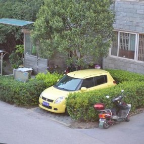 史上绿化率最高的停车位！