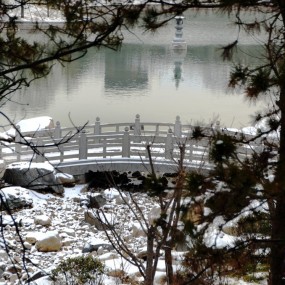 昨天一场雪   今天景色美