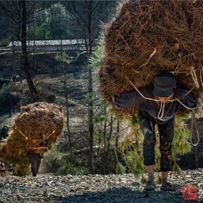 国际影赛获奖作品赏析（第八十二期）