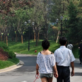 白桦林间摄影比赛之一:二等奖